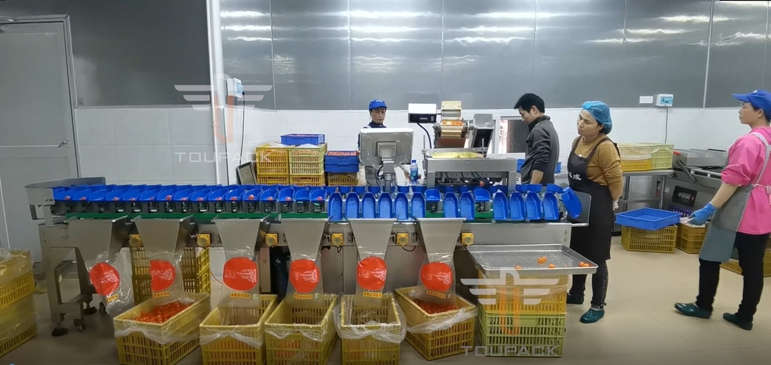 タッチ画面の卵黄の魚のフルーツのための多等級の円の重量の分類機械