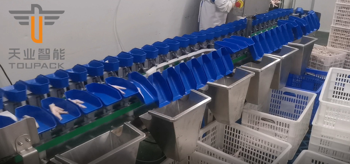 タッチ画面の卵黄の魚のフルーツのための多等級の円の重量の分類機械