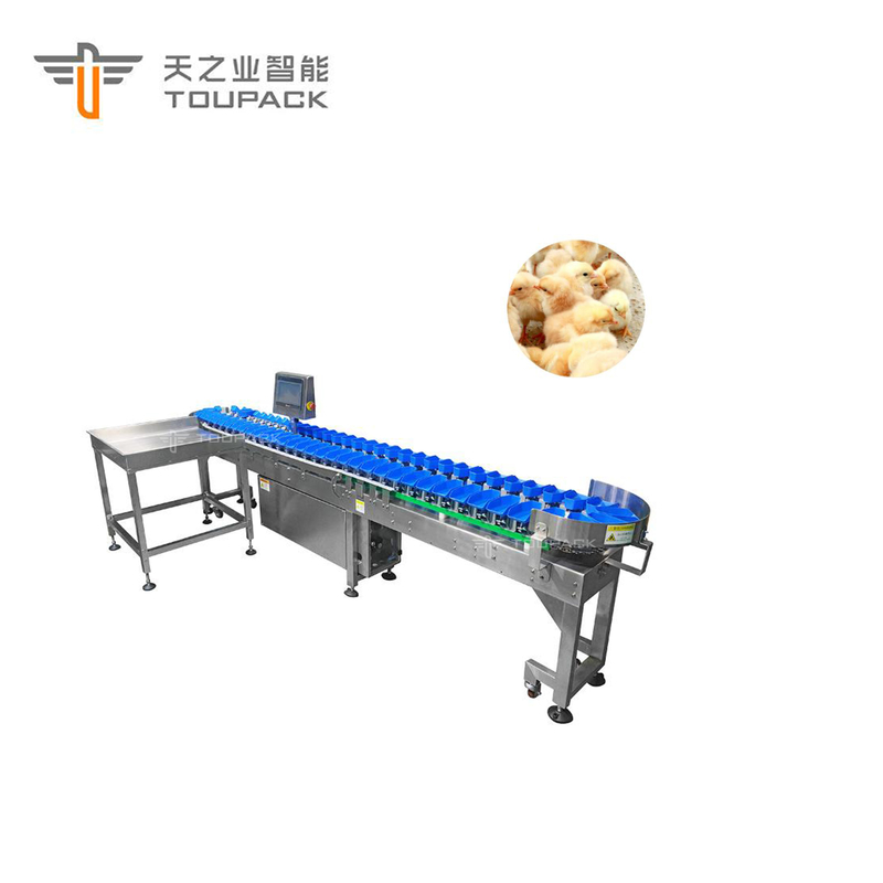 注文の帆立貝のアワビの鶏の重量の分類機械自動フルーツの日付の等級分け機械