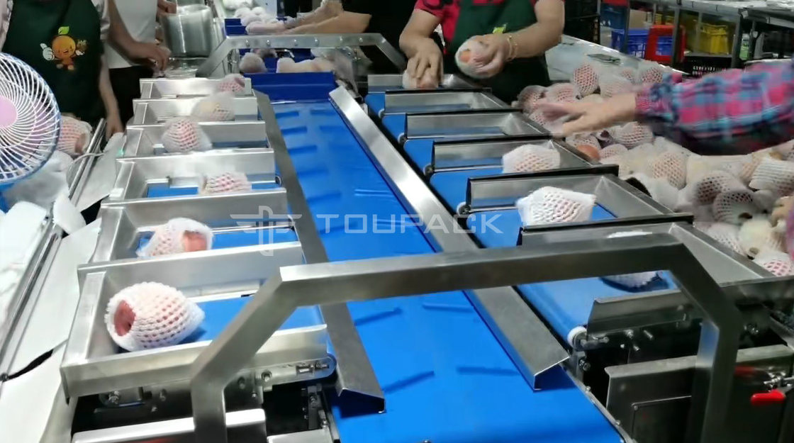 Stainless Steel 304/316 Combination Weigher with 220V Power and 1 KW Output for High-Accuracy Fruit Packing