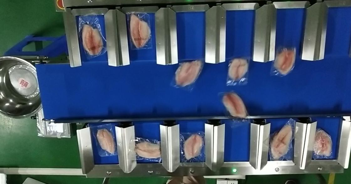 TOUPACK 12魚介類のためのヘッド30WPMベルトの計重機システム コンベヤー ベルトの計重機