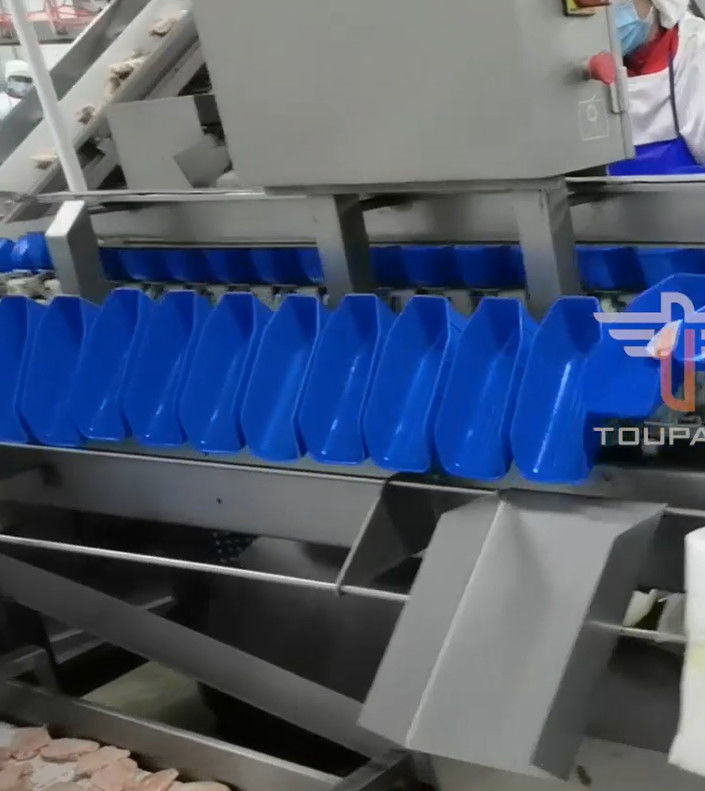 魚介類のための安全円の多ヘッド重量の分類機械300回/分