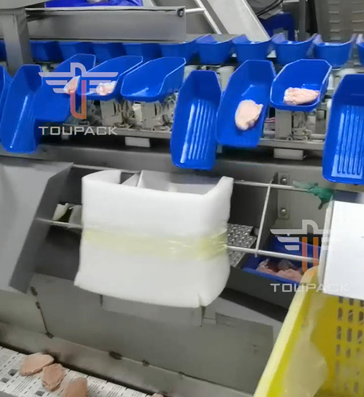 魚介類のための安全円の多ヘッド重量の分類機械300回/分