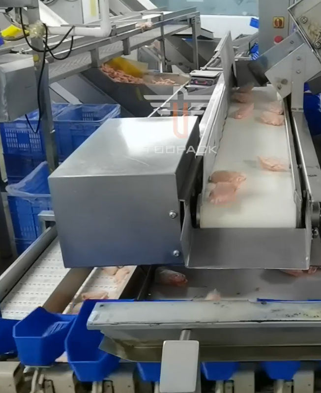 魚介類のための安全円の多ヘッド重量の分類機械300回/分
