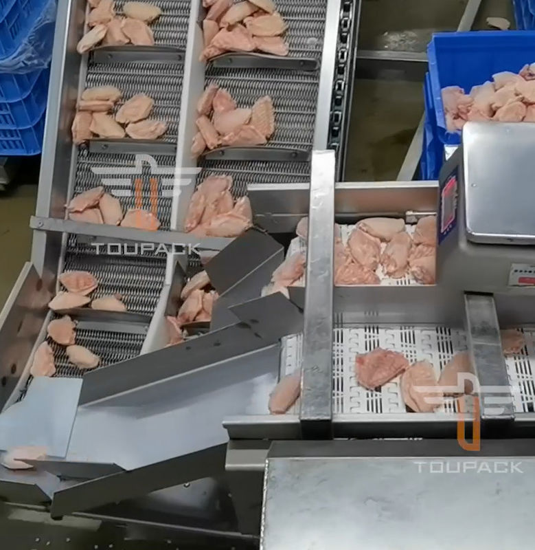 魚介類のための安全円の多ヘッド重量の分類機械300回/分