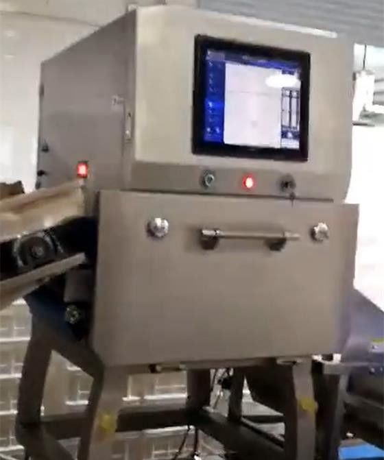 破片のナットのための1つのMicrosievert/H X光線の食糧検査システムSUS304の探知器