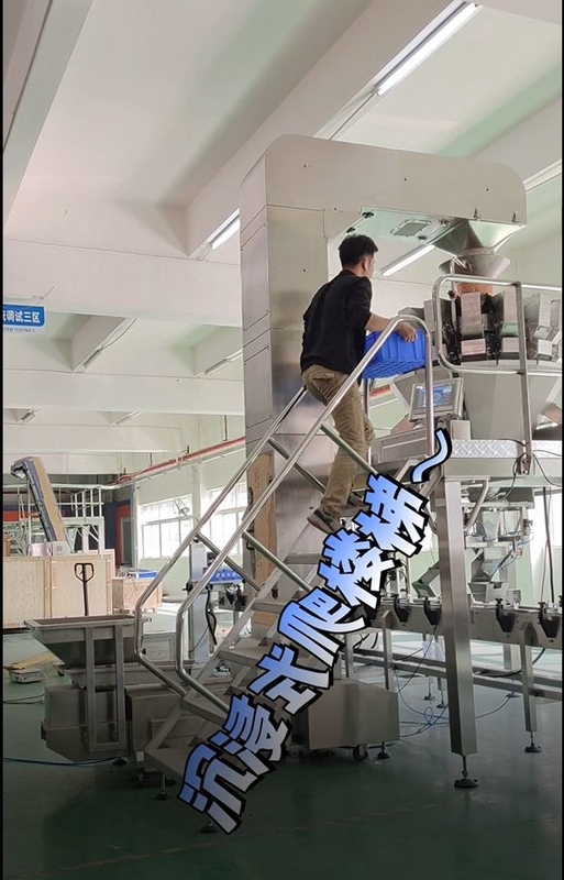 10/14台の頭部のmultiheadの計重機とのステンレス鋼Zの傾斜のバケツのコンベヤーの働き