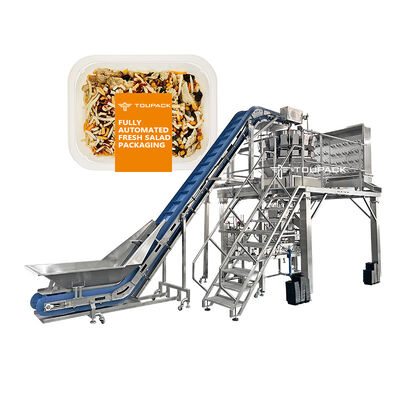 MAP/真空/トレイ/バッグ 鮮や冷凍,煮た肉のためのパッケージングソリューション