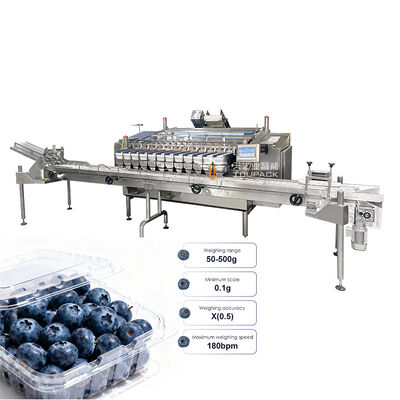 Auto Blueberry Frozen Vege Salad Vegetable Packing Machine Cherry Tomatoes Vegetable Weighing And Packing Machine