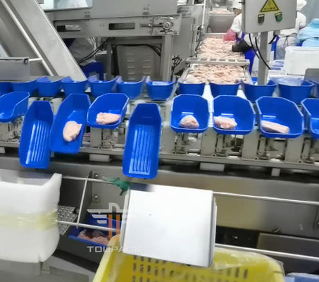 魚介類のための安全円の多ヘッド重量の分類機械300回/分