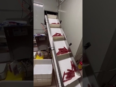 長尺ソーセージ、ホットドッグ用自動計量搬送システム