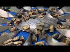 TOUPACK 14頭 魚を重量にする多頭計